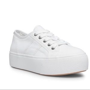 Emmi White Sneakers  (Steve Madden)